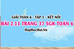 Giải bài 2.11 trang 37 Toán 6 Tập 1 SGK Kết nối tri thức